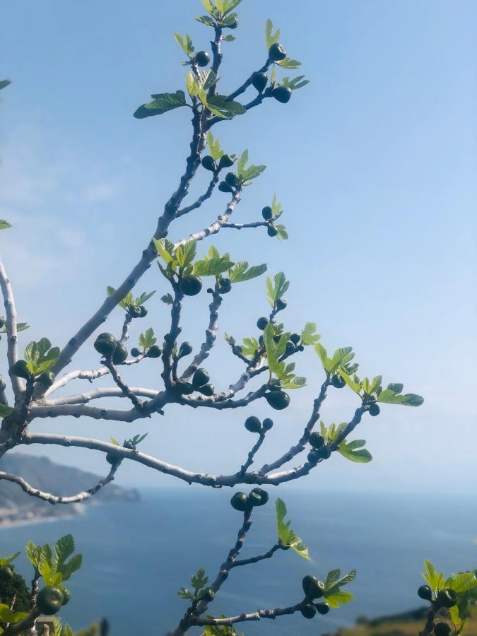 Center Private By Fragranza Di Sicilia Leilighet Taormina